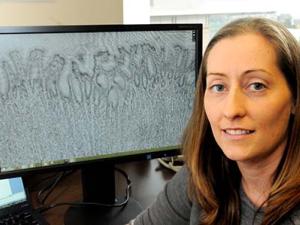 Laura Waller is working on computational imaging methods