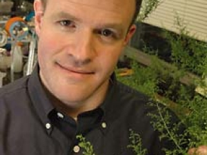 headshot of Jay Keasling in lab holding a green plant